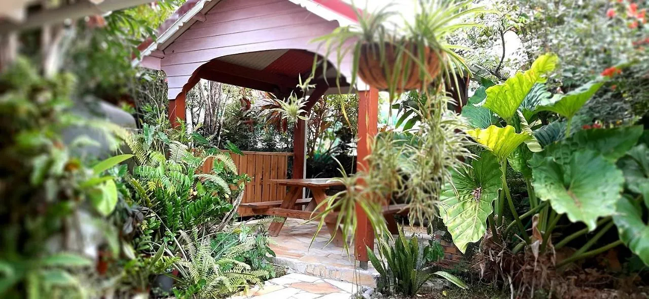 Apartment Appartement 