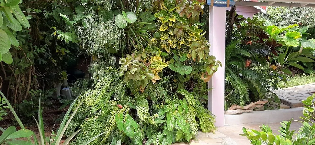 Appartement grand Hibiscus jardin privé Le Lamentin Martinique